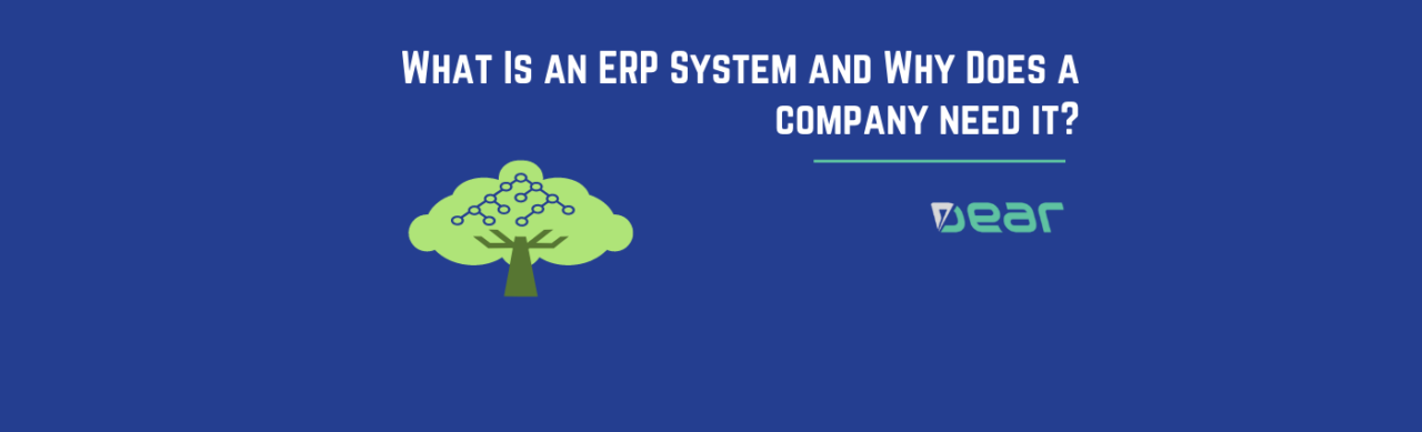 What is ERP and Why does a company need it?